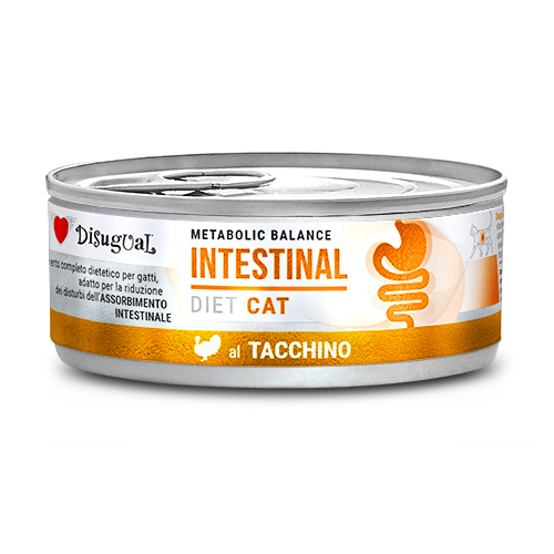 Cat Intestinal de Pavo