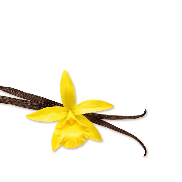 Bio Bourbon-Vanille gemahlen - imagen 2 de 3