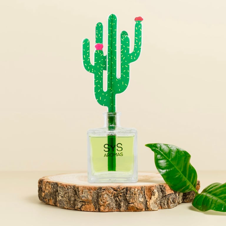 Diffuseur Cactus Aloe Vera-Bambou - imagen 7 de 7