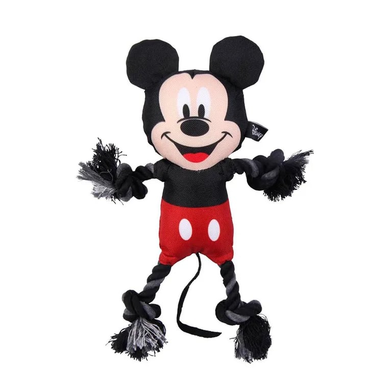 Fil Dentaire Pour Chien Mickey