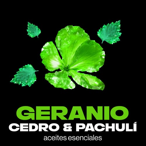 Esmerald Geranium Déodorant Spray 150 ml de Axe