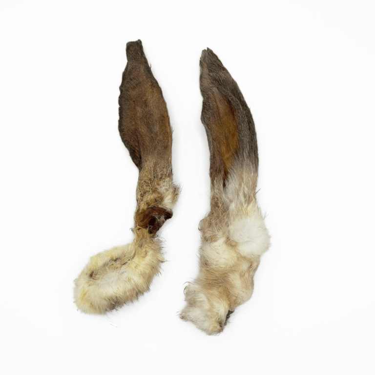 Oreille de Lapin - imagen 2 de 2