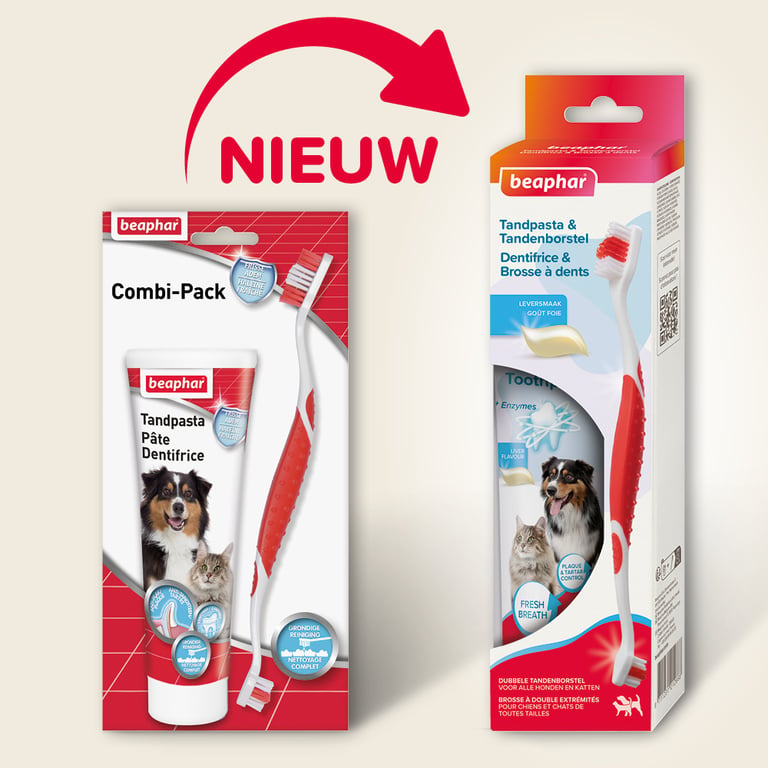 Pack Dental Pasta + Cepillo - imagen 2 de 5