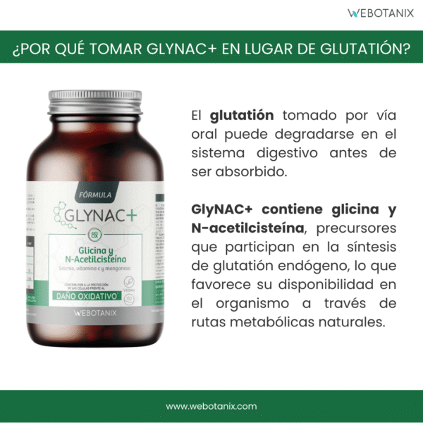 GlyNAC Formule - imagen 4 de 10