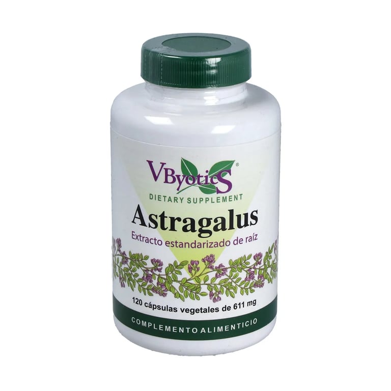 Astragalus Std De Raiz