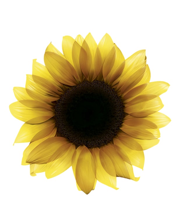 Super Mattierende Farbkorrektur Maske 150 ml von Garnier