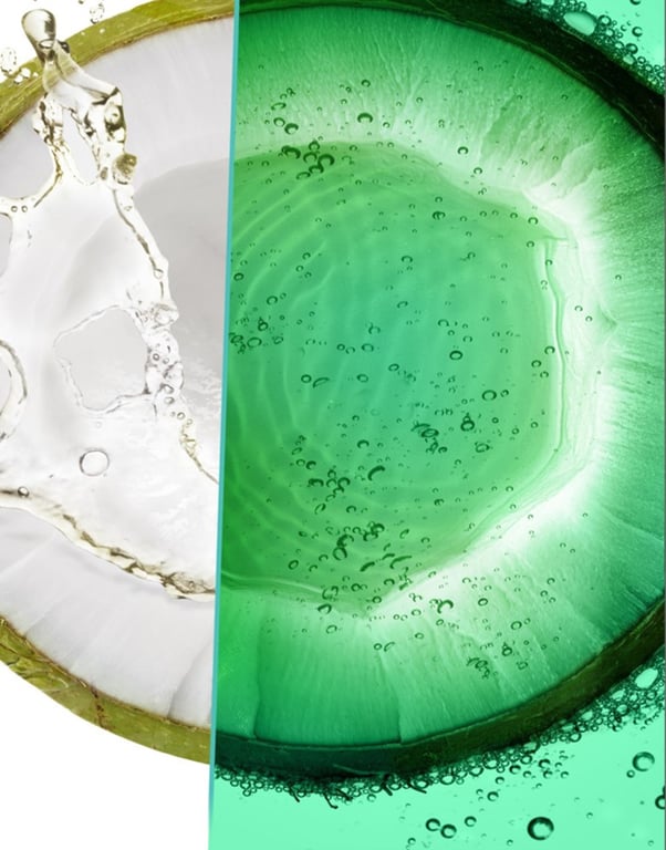 Fructis Pure Fresh Kokoswasser stärkendes Shampoo 360 ml von Garnier