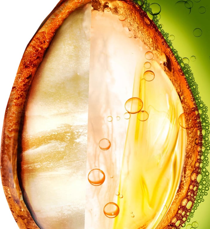 Fructis Hydra Lisse 72H Shampooing 360 ml de Fructis