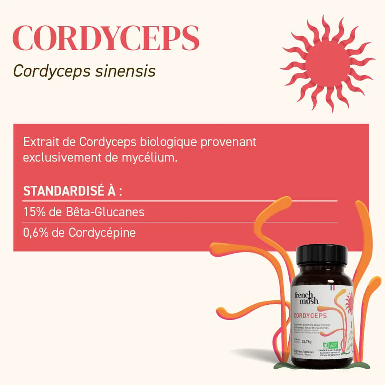 Extraits de Cordyceps Bio - imagen 5 de 6