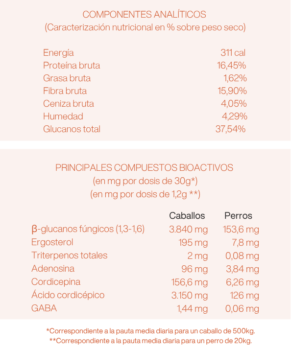 Energy Explosion Pet - imagen 5 de 5
