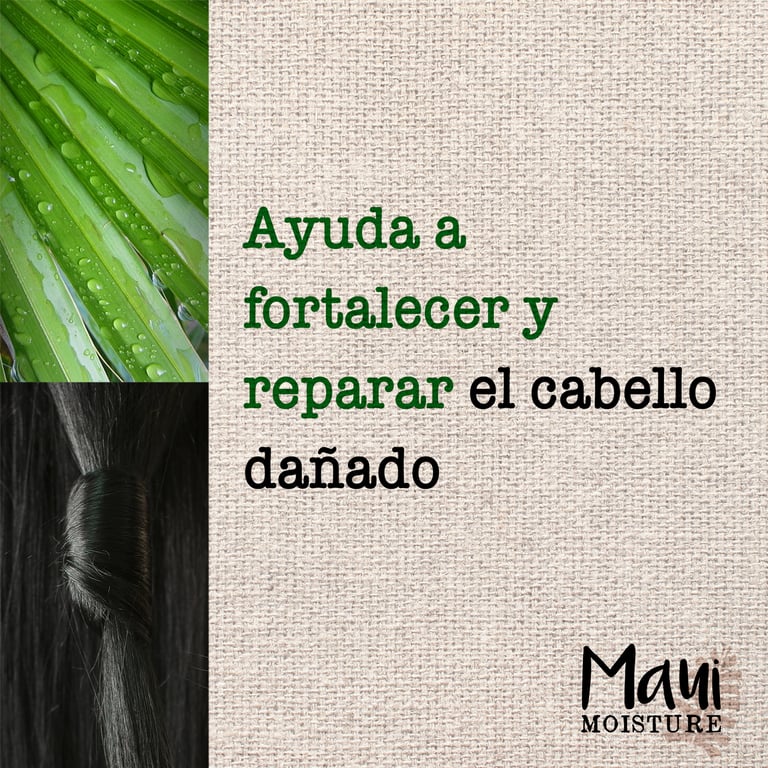 Maui Bamboo Fibers Shampooing 385 ml de Maui