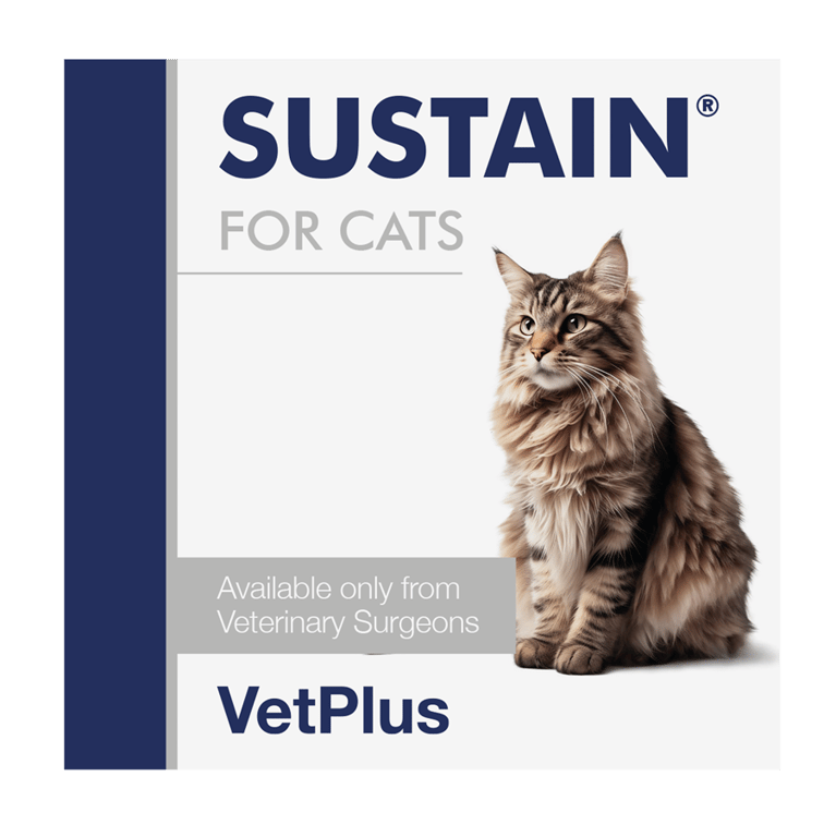 Sustain para Gatos