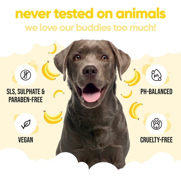 Bananenduftendes Hundeshampoo - imagen 5 de 13