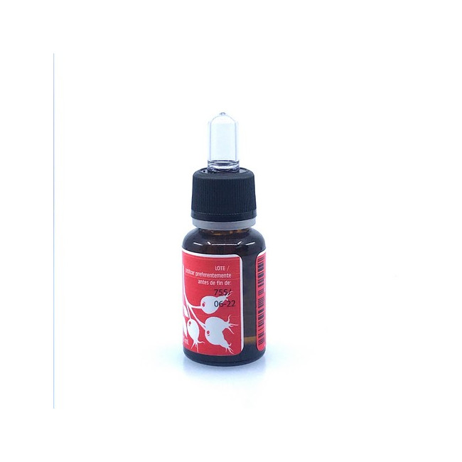 Aceite Puro de Rosa Mosqueta - imagen 4 de 4