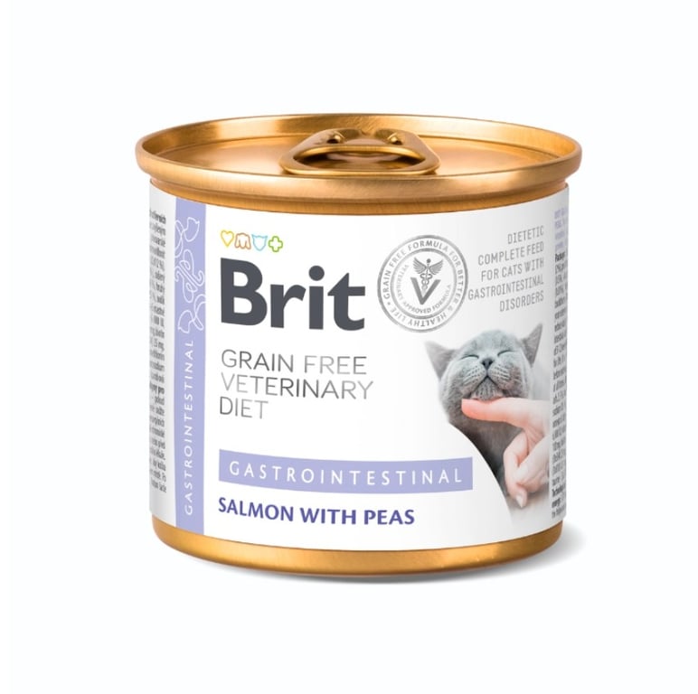 Veterinaire Chat Gastrointestinal