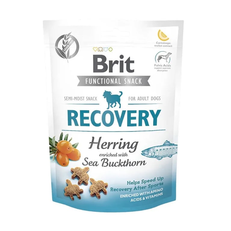 Care Dog Functional Snack Recovery Arenques