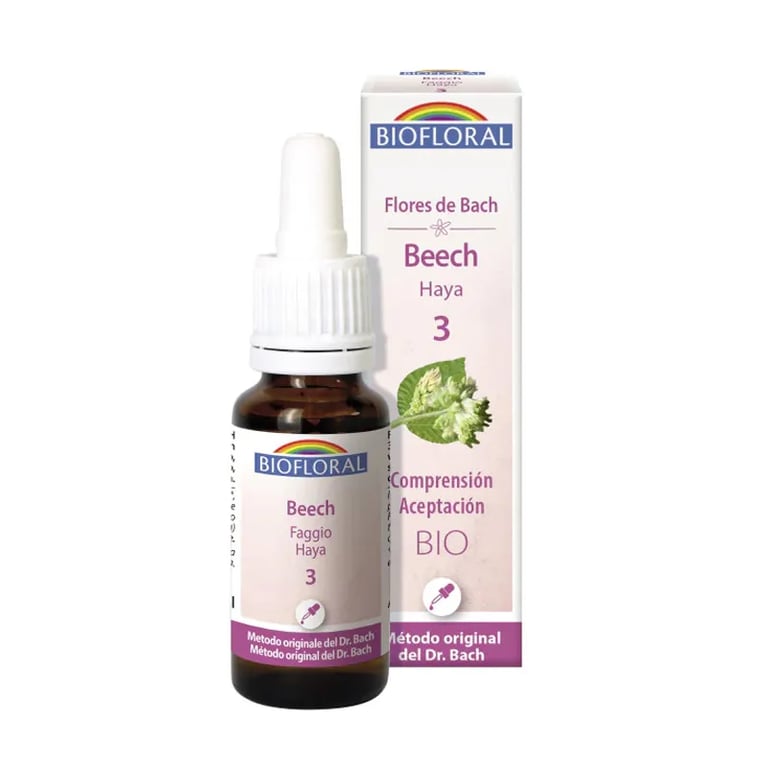 Bachblüten 03 Beech Haya Bio