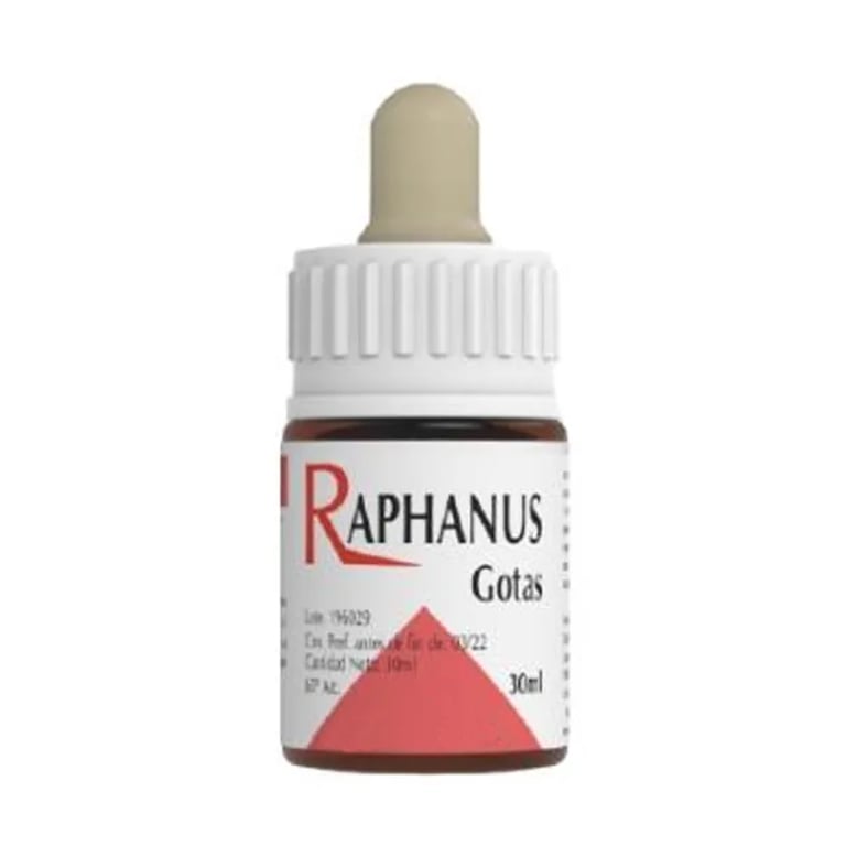 Raphanus