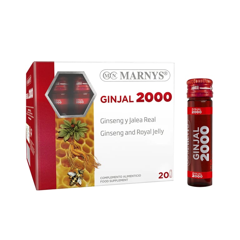 GINJAL 2000
