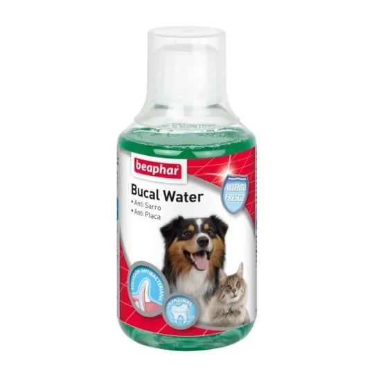 Bucal Water