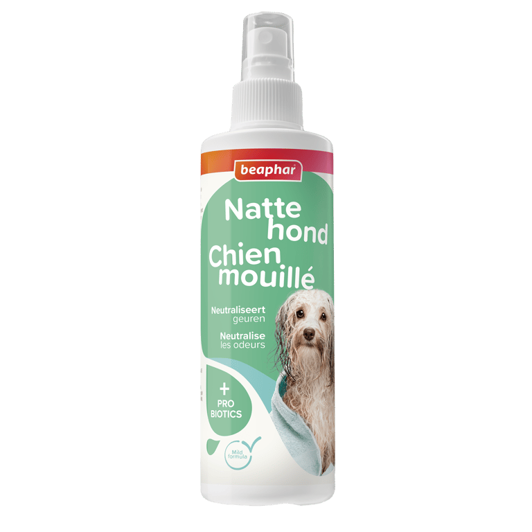Spray Anti-Odeur Chien Humide