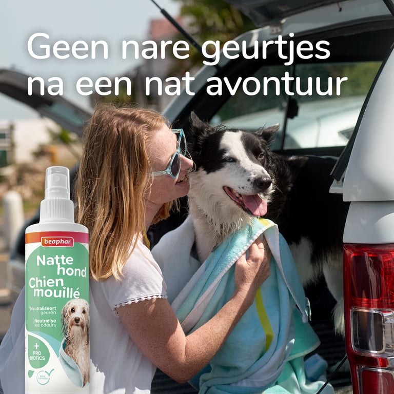 Spray Anti-Odeur Chien Humide - imagen 5 de 5