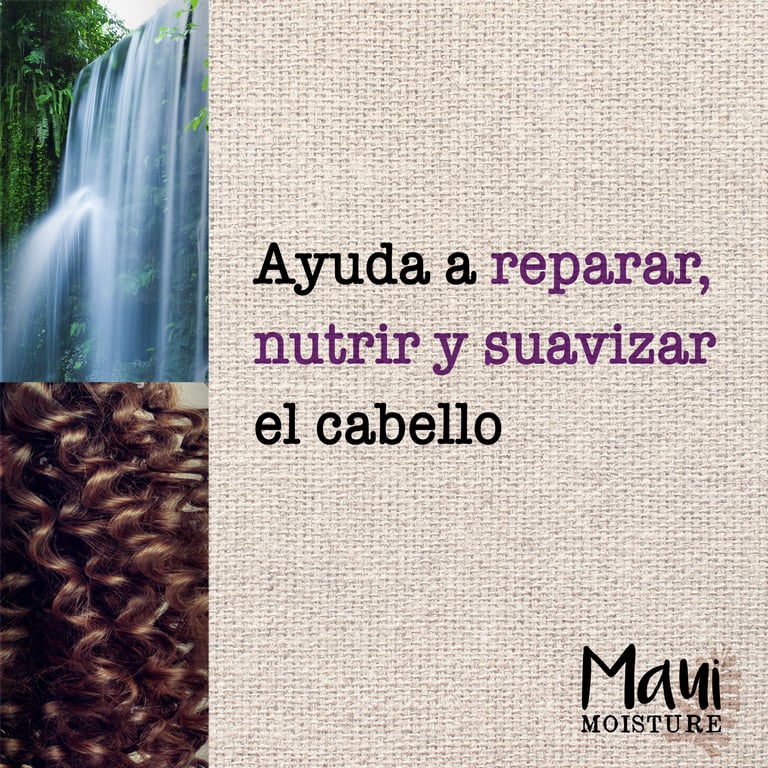 Maui Shea Butter Champú 385 ml von Maui