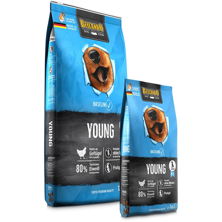 Belcando Baseline Young - imagen 3 de 3