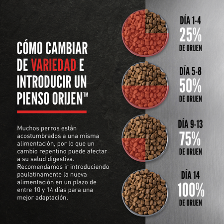 Dry Puppy Dog - imagen 6 de 17