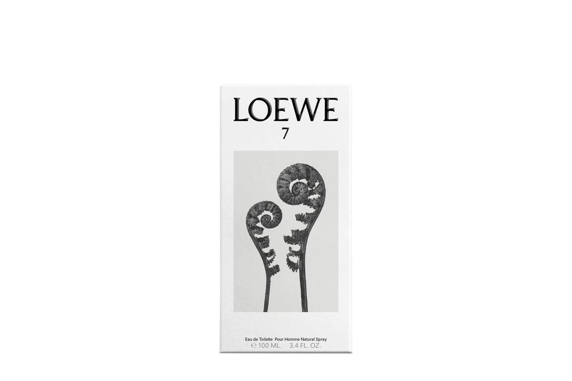 Loewe 7 Edt Spray 100 ml von Loewe