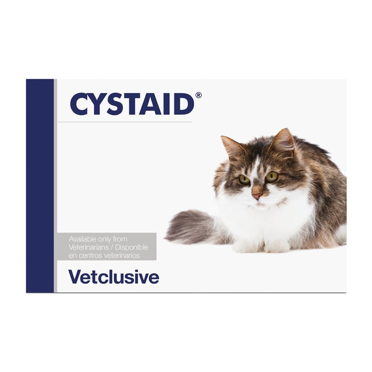 Cystaid Chat - imagen 2 de 2