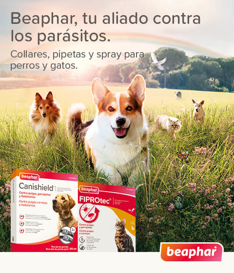 Supergrit con Ostras - imagen 2 de 8