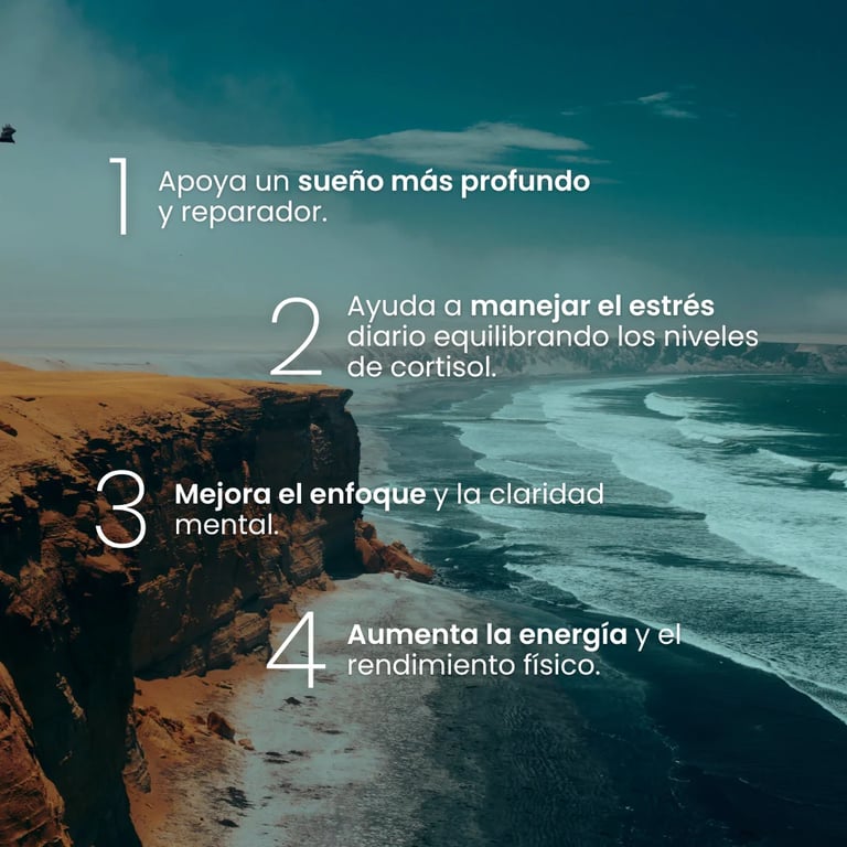 Relax Ashwagandha - imagen 2 de 10