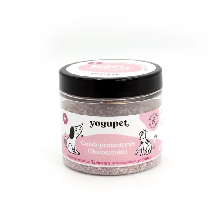 Kéfir Liofilizado con Condroprotectores y Glucosamina
