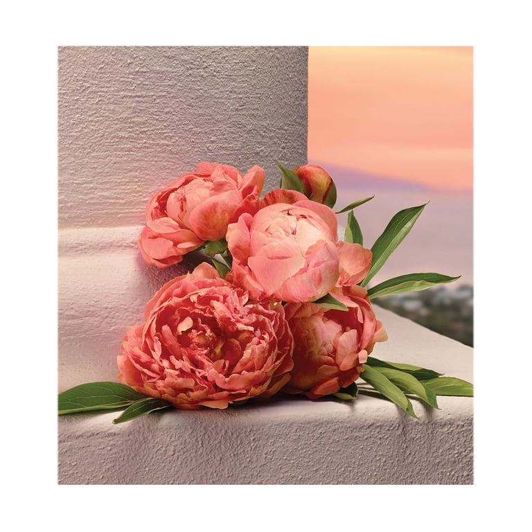 My Devotion Intense EDP 30 ml de Dolce & Gabbana