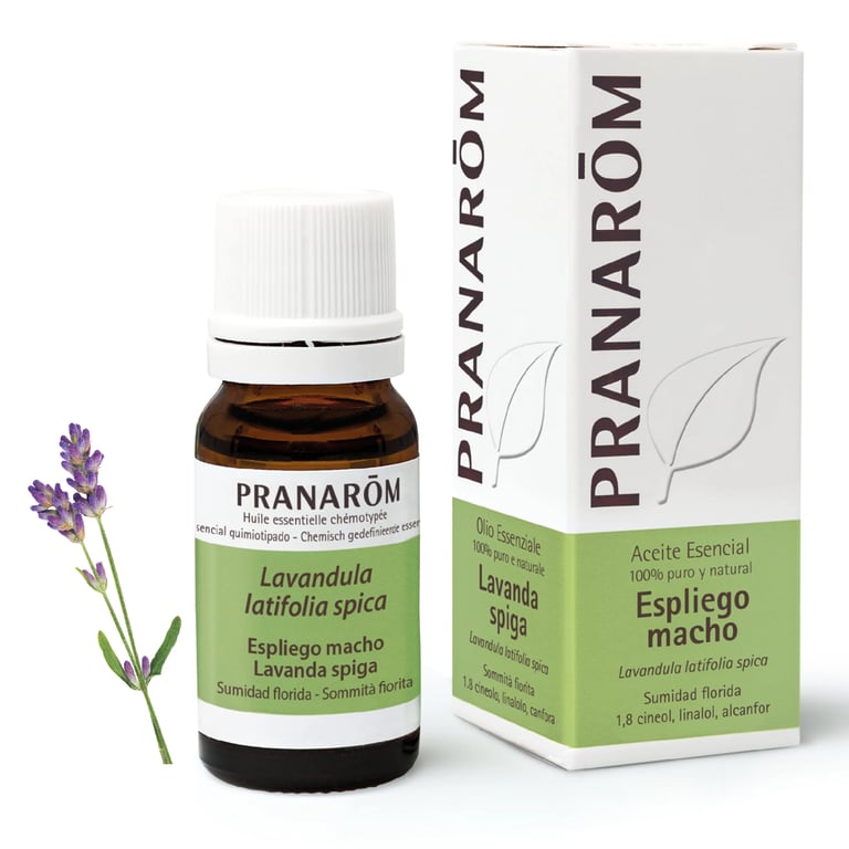 Aceite Esencial Espliego Macho Ecológico