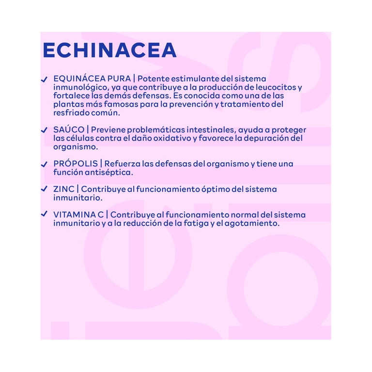 Echinacea Gummies 70 Unités de Jelly Pills