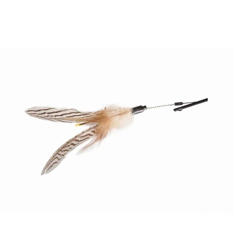 Caña Con Pluma