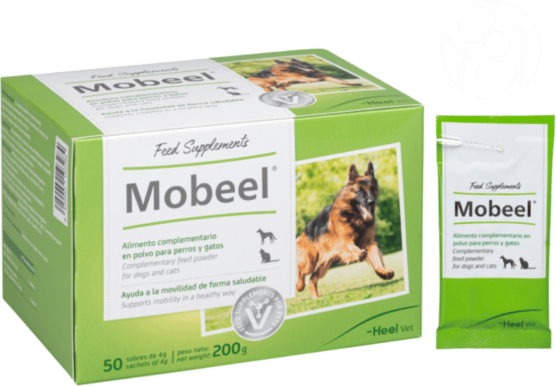 Mobeel