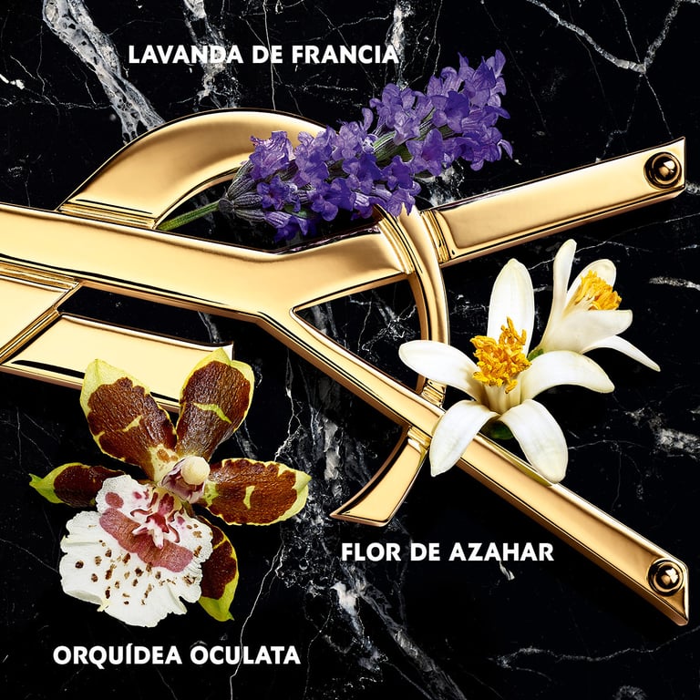 Libre Intense EDP 50 ml di Yves Saint Laurent