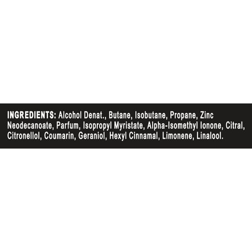 Aqua Bergamot Deodorant Spray 150 ml von Axe