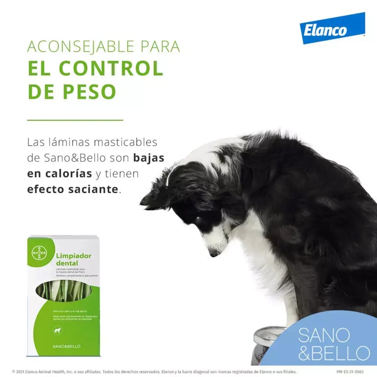 Limpador Dental Saudável - imagen 2 de 3