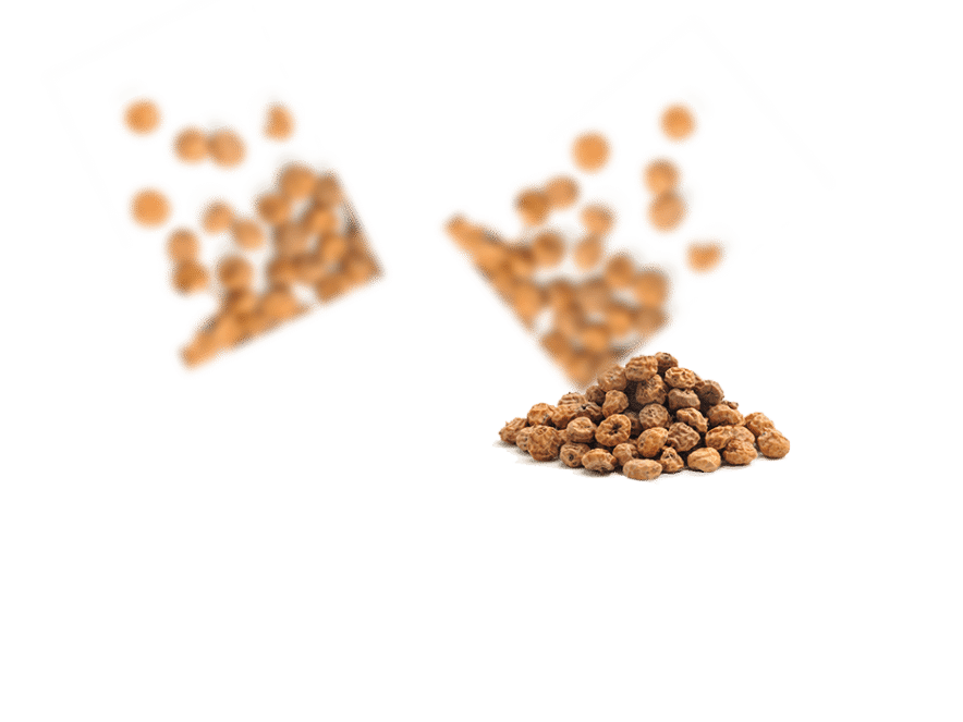 Bio-Haselnuss Crackers - imagen 4 de 7