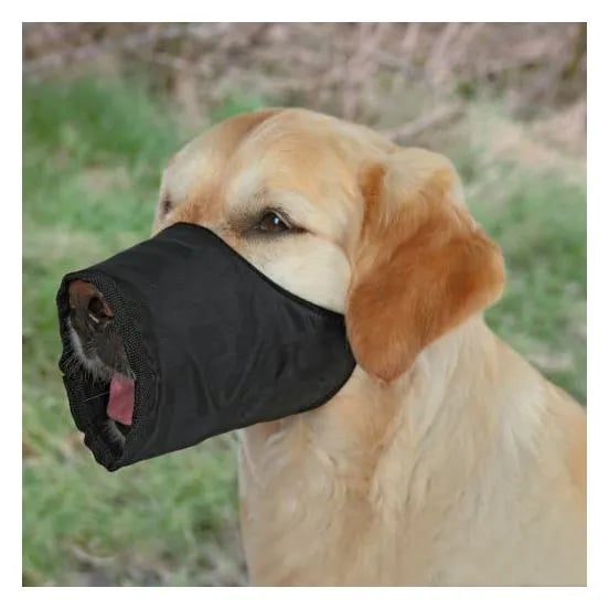 Bozal Para Perros Nylon Negro