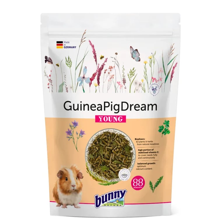 Guinea Pig Dream Young