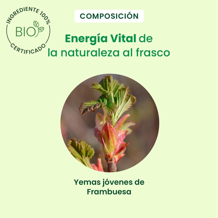 Spray Bio Framboise - imagen 4 de 6
