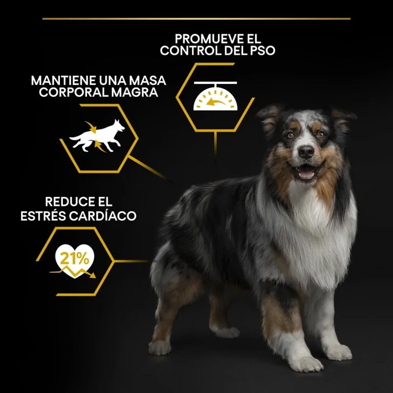 Cane Adulto Tutte Taglie Light Sterilizzato Pollo - imagen 12 de 12