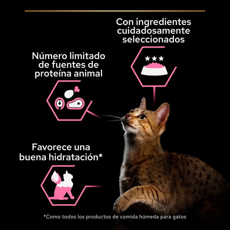 Cat Adult Delicate Mousse de Dinde - imagen 3 de 6