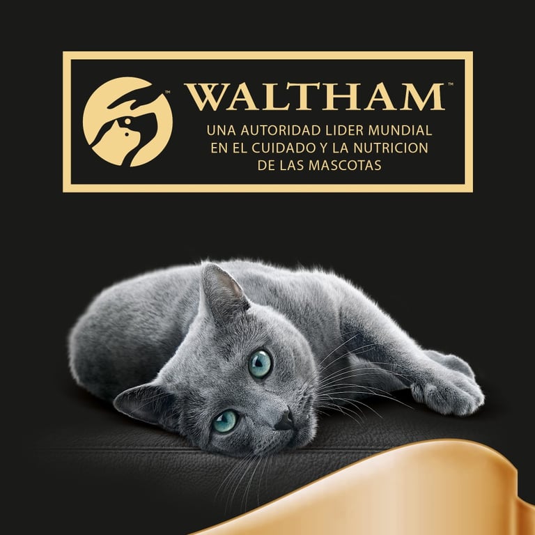 Finesse Paté au Saumon - imagen 4 de 4