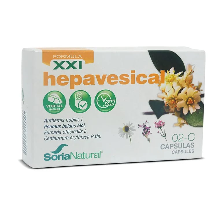 02-C Hepavesical XXI